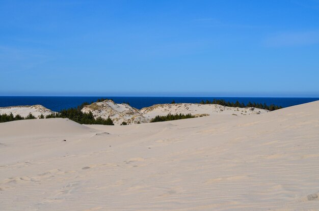 Foto parco nazionale slovinski leba dune di sabbia sulla costa baltica polonia europa