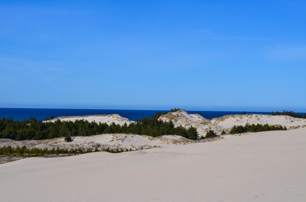 Slovinski national park Leba sand dune on the Baltic coast Poland Europe