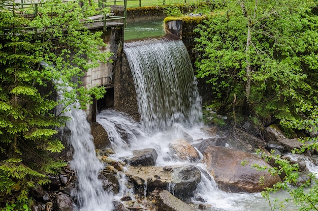 Sluice at the creek