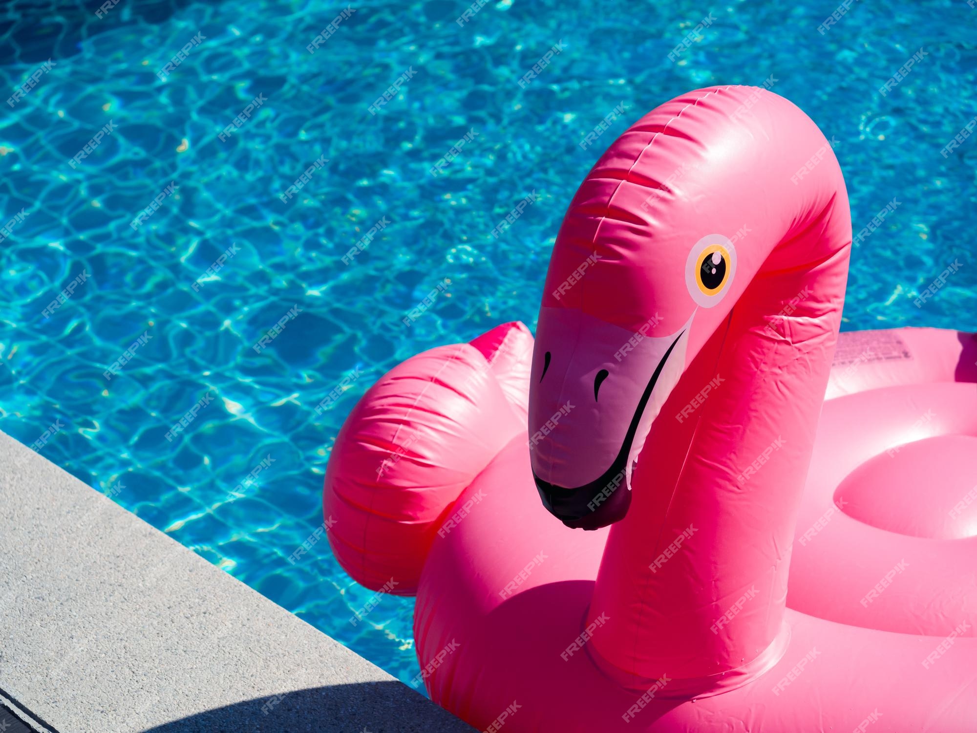 Bridge pier noot Smaak Sluit de roze opblaasbare ring, flamingo in het zwembad met kopieerruimte.  flamingo zwemring voor zomerstrand. | Premium Foto