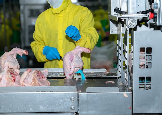 Foto sluit een halve hele kip gesneden en laden om te automatiseren het snijden van onderdelen machine in de moderne fabriek