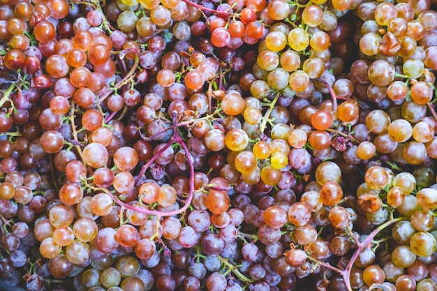 Sluit een heleboel mooie zoete veelkleurige druivenbessen, natuurlijke organische voedselachtergrond