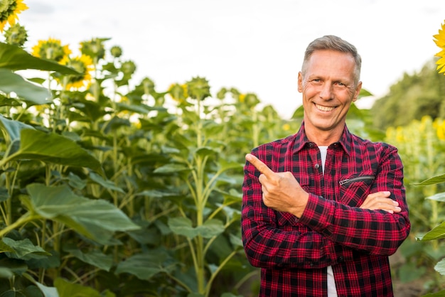 Sluit omhoog de mens die op een zonnebloem wijst op