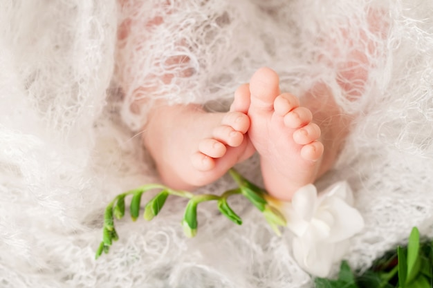 Sluit omhoog foto van pasgeboren babyvoeten op gebreide plaid en bloemen