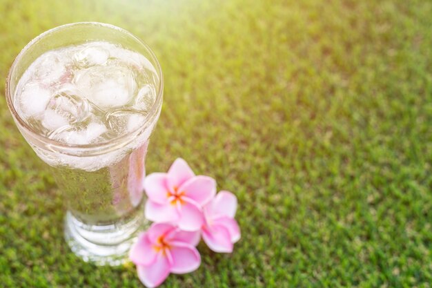 Sluit omhoog glas koud water met ijs op groen gras met de tuinachtergrond van de onduidelijk beeldaard