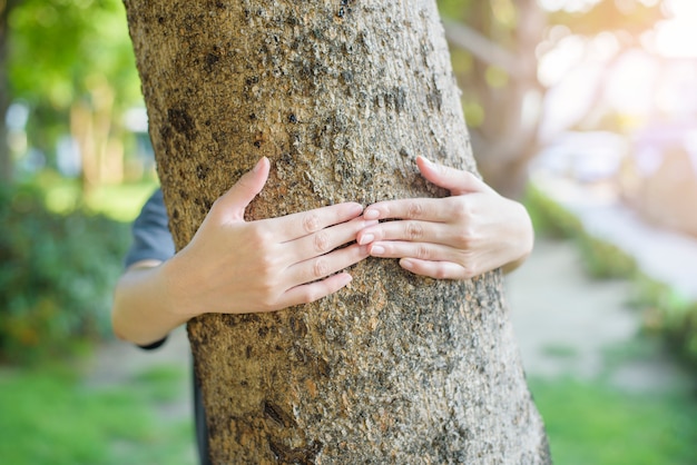 Sluit omhoog menselijke hand koestert de boom