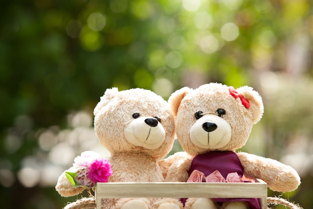 Sluit omhoog mooie bruine twee teddybeer in houten doosconcept