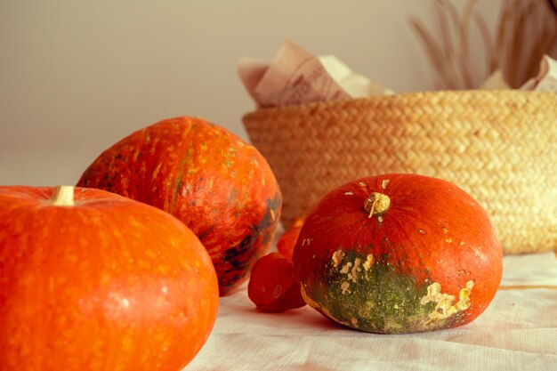 Sluit omhoog ontsproten van een pompoen en een mand, de herfstsamenstelling