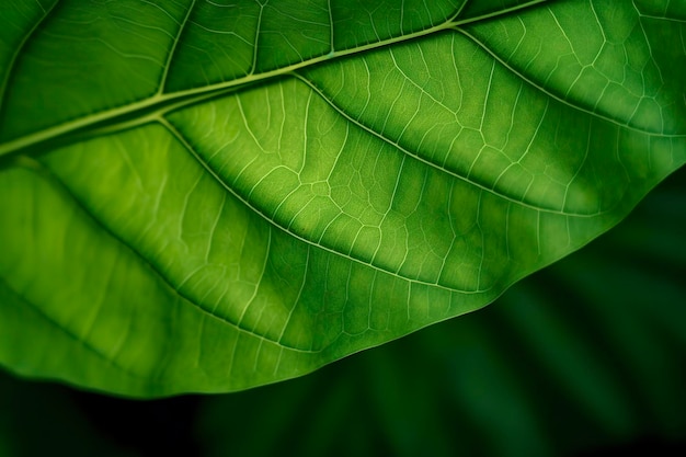 Sluit omhoog op groene bladachtergrond generat ai