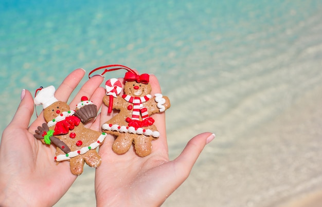 Sluit omhoog van de koekjes van de Kerstmispeperkoek in handen