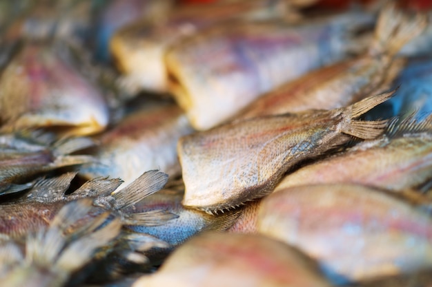 Sluit omhoog van Droge Gourami-Vissen