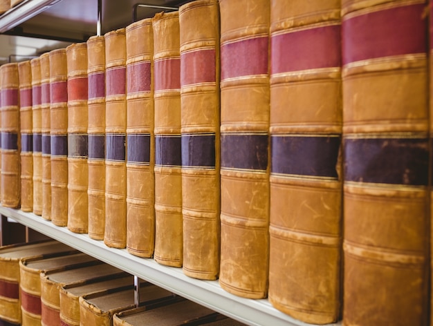 Sluit omhoog van een plank van oude boeken