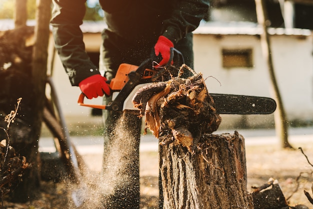 Sluit omhoog van elektrische zaag bemant binnen handen snijdend groot deel van boom. Mens in beschermend eenvormig scherp hout buiten.