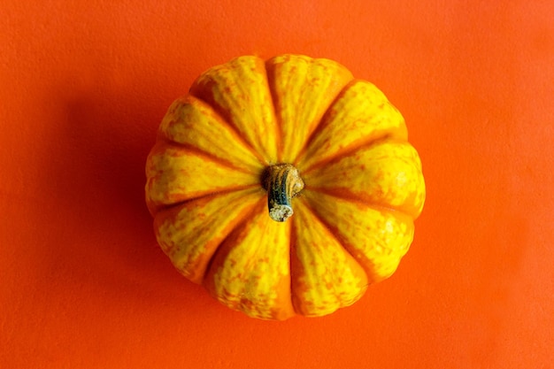 Sluit omhoog van pompoen. Pompoen op de oranje achtergrond.