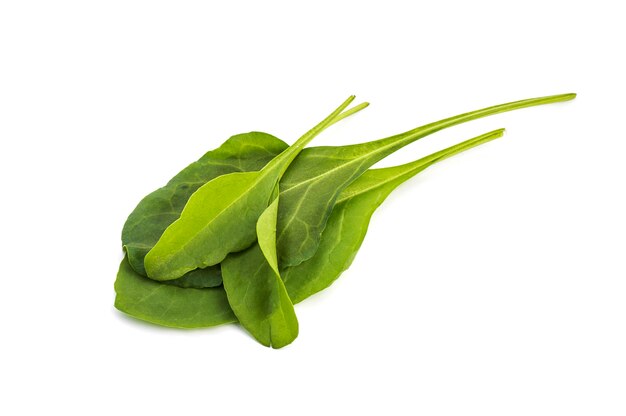Sluit omhoog van verse groene geïsoleerde spinazie