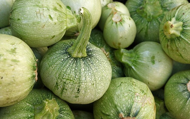 Sluit omhoog verse nieuwe groene baby ronde courgette op kleinhandelsvertoning van de boerenmarkt, de hoge mening van de hoek