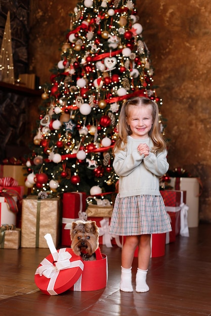 Sly cute girl and dog near the Christmas tree