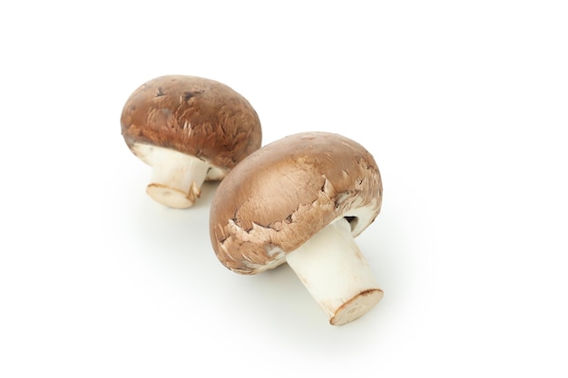 Smakelijke champignons champignons geïsoleerd op een witte achtergrond