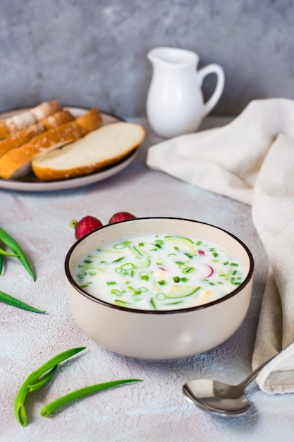 Smakelijke traditionele Russische koude soep met groenten en kefir in een kom Verticale weergave