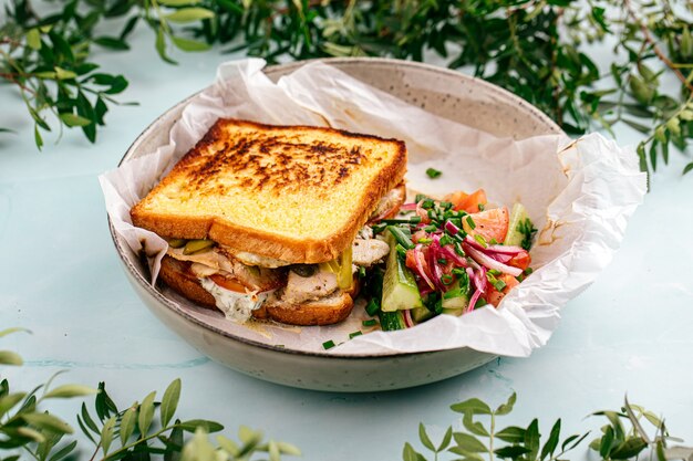 Smakelijke verse sandwich met groentesalade