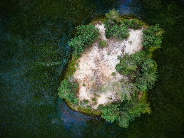 Photo smal island on wild lake top down drone view