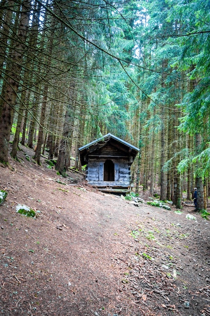 Small abandoned wooden cabin in a deep dark fir forest