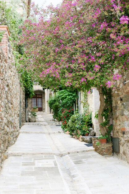 small alley in a Provençal medieval village in France