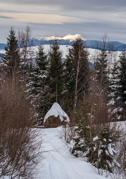 Small alpine village and winter snowy mountains in last sunset sunlight around Voronenko Carpathian Ukraine