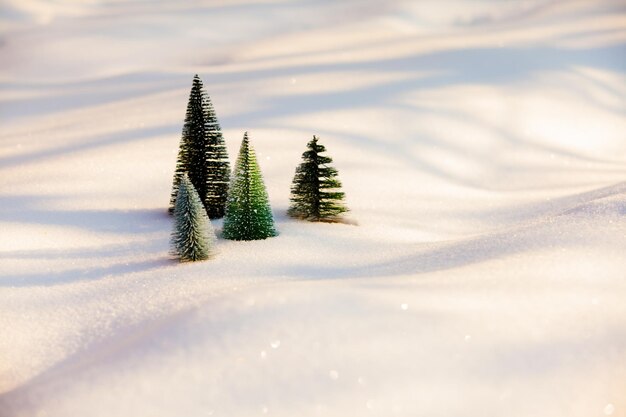 新鮮で柔らかい雪の上に互いに近くに立っている小さな人工的なクリスマスツリーのために。雪の上の小さなモミの木の日当たりの良い凍るような朝の景色、自然の概念を保存します