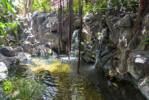 A small artificial pond in the garden Around the pouring water