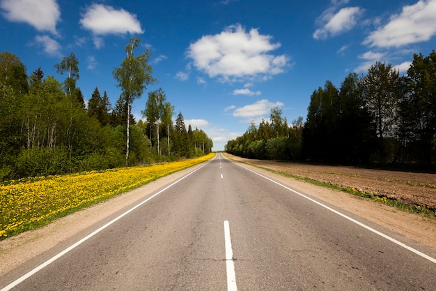 A small asphalt road passing through the forest. spring