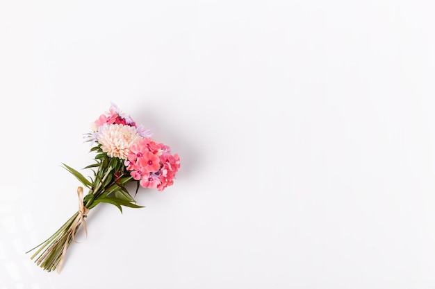 Piccolo bouquet autunnale aster e flox di corallo rosa tenue su sfondo bianco