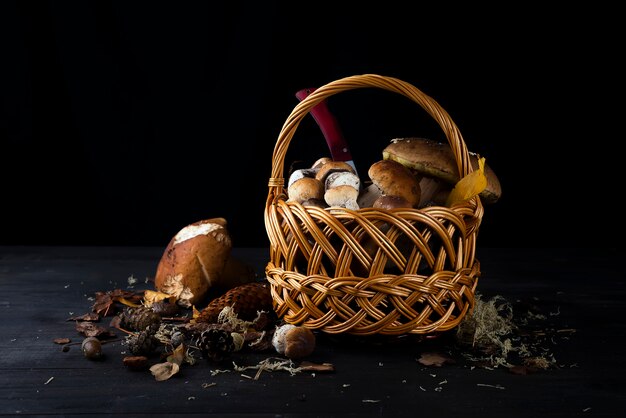 Photo small basket with autumn mushrooms