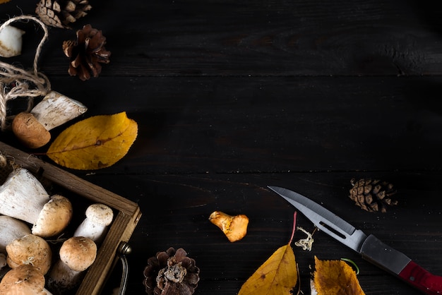 Small basket with autumn mushrooms