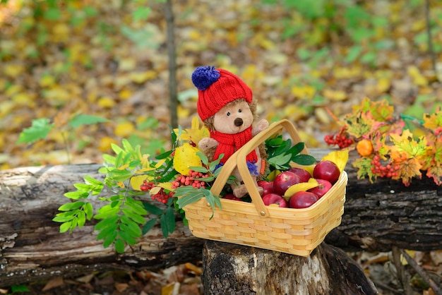 small basket with hedgehog toy and apples