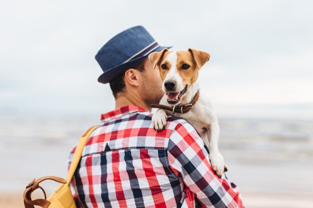 Small beautiful dog on owner`s hands.