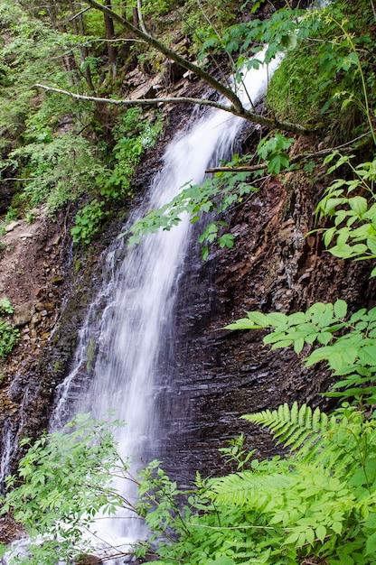 Small, beautiful waterfall in the Carpathians in summer