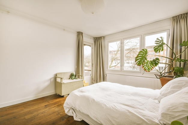 Small bedroom with plant and windows