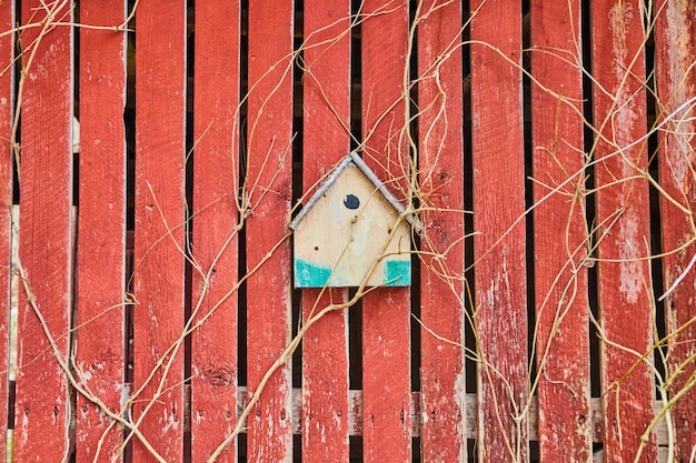 Small birdhouse on faded red barnwood boards with vines