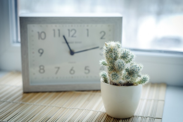 A small blooming cactus opposite the square clock in the interior. Tinted