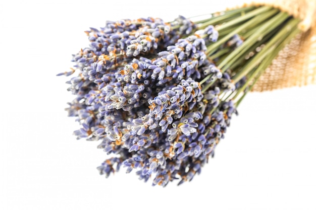 Small bouquet of dried lavender isolated