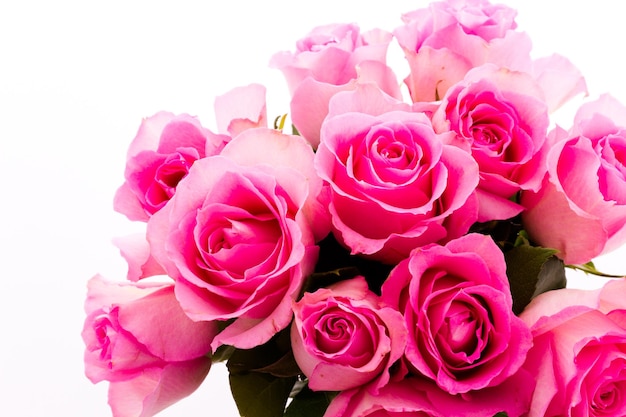 신선한 핑크 장미의 작은 꽃다발.