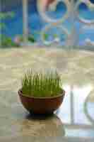 Photo a small bowl of grass on a table