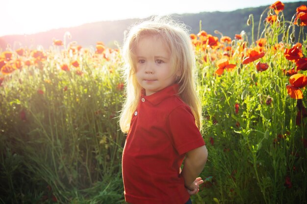 Small boy or child in field of poppy seed