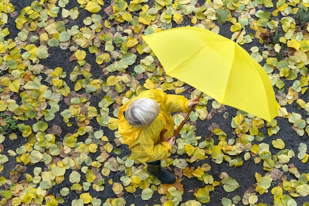 Small boy folds the umbrella against yellow fallen leaves background. Colorful autumn. Top view.