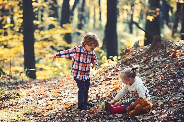 小さな男の子と女の子の友達が森の中で楽しんでいます 秋の森で草を刈る子供たち 兄弟と姉妹が新鮮な空気で遊ぶ 子供と子供の友情 子供の活動と活発な休息