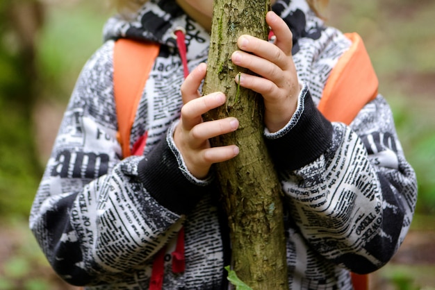 Small boy holds on to a thin tree trunk with his hands