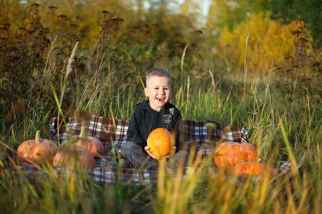 Piccolo ragazzo che seleziona la zucca perfetta da un mercato agricolo