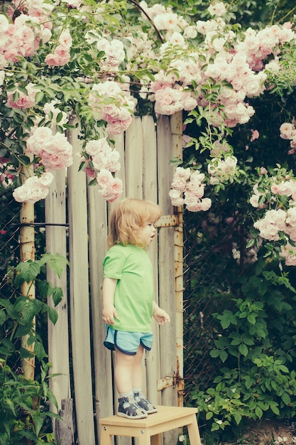 バラの茂みの近くの木製の椅子の上の小さな男の子