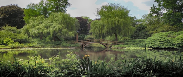 Photo small bridge in garden